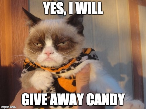 who-killed-my-halloween-grumpy-cat